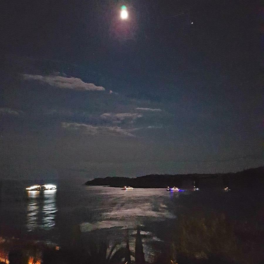 Villa Palmera Dubrovnik Eksteriør bilde
