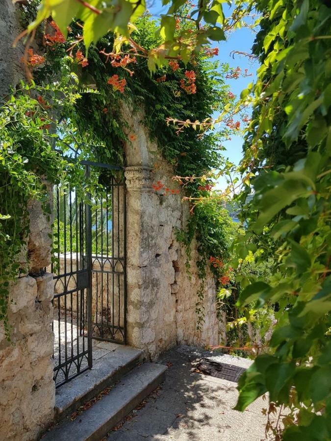Villa Palmera Dubrovnik Eksteriør bilde