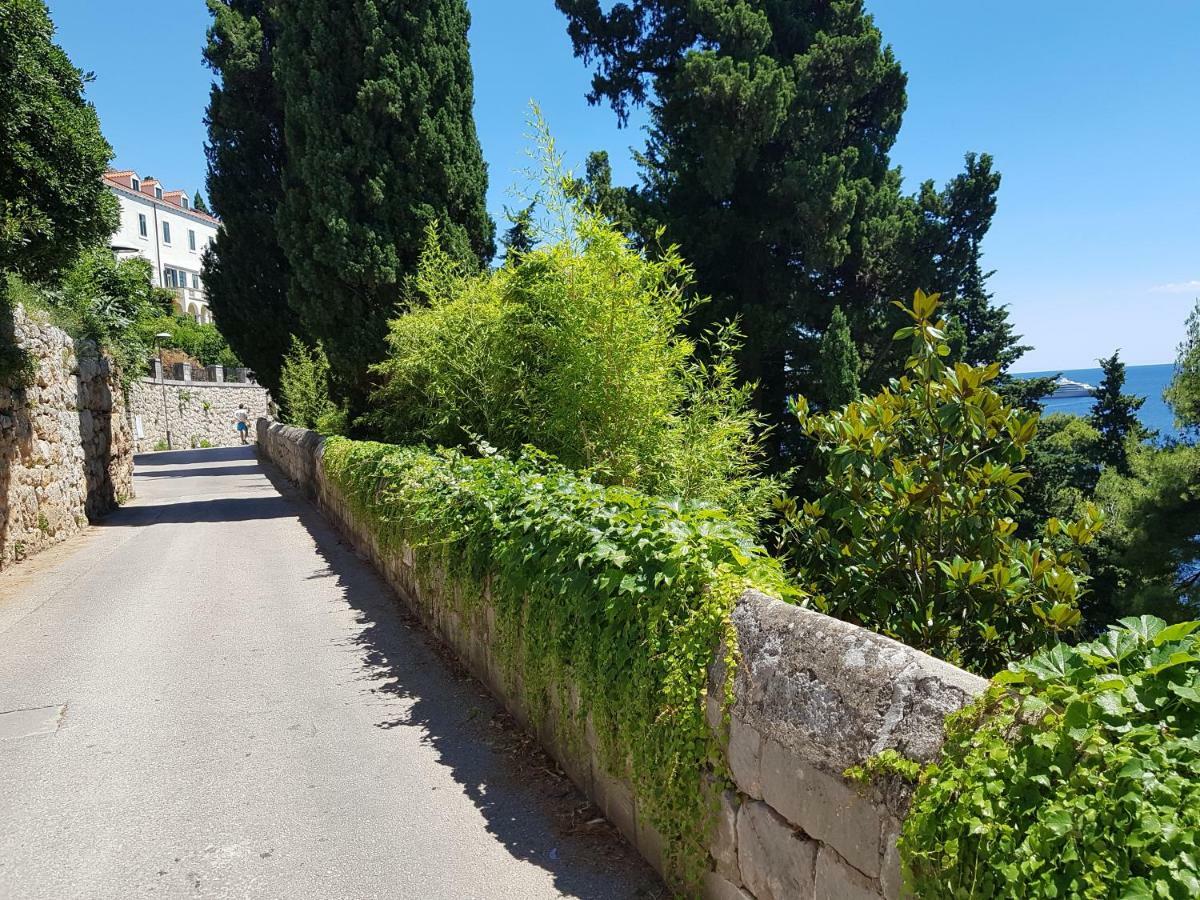 Villa Palmera Dubrovnik Eksteriør bilde