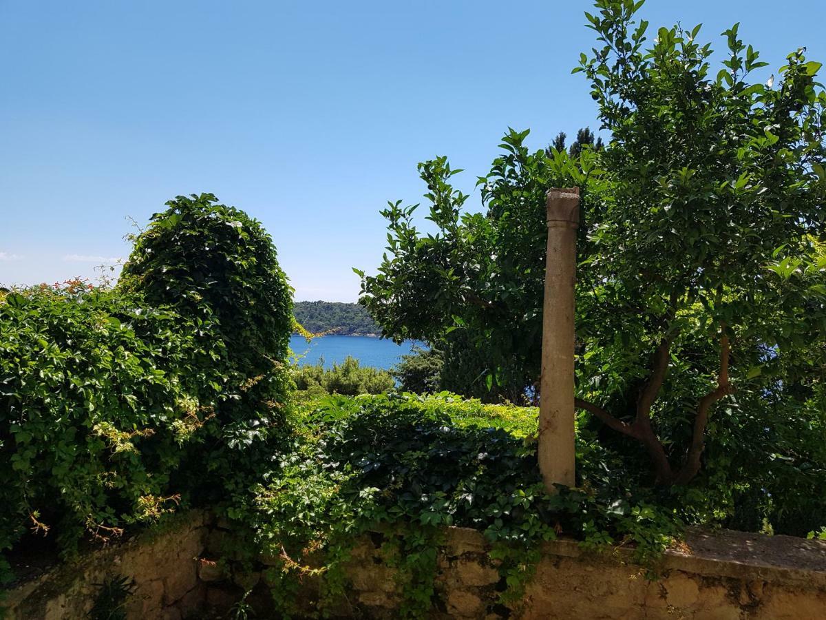 Villa Palmera Dubrovnik Eksteriør bilde